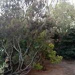 Panzió Domus Garden