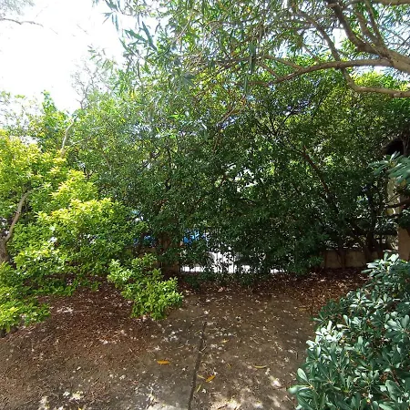 Domus Garden