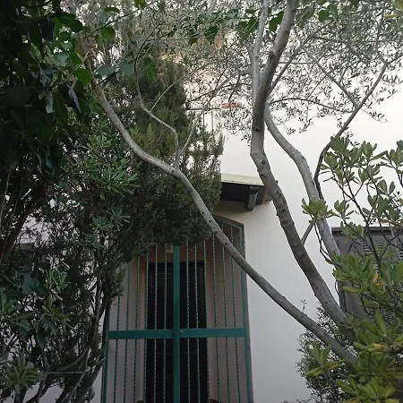 Domus Garden 올비아