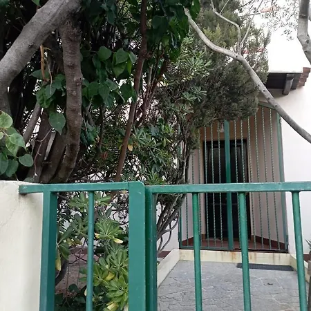Domus Garden
