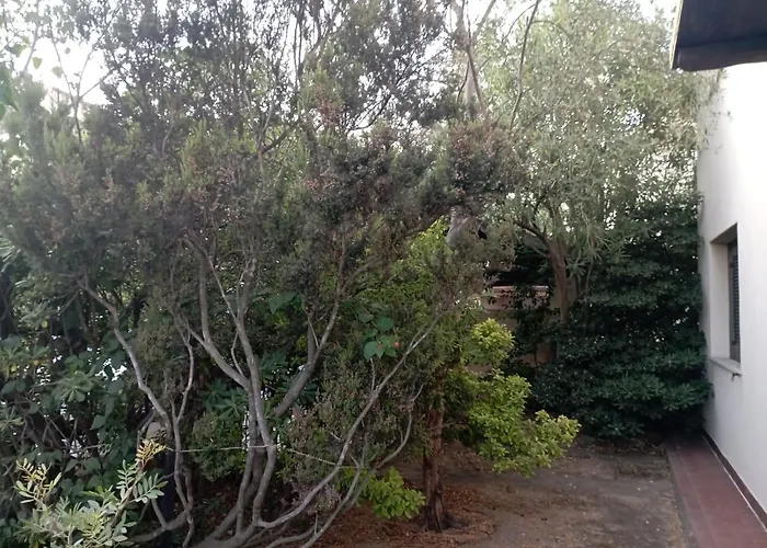 Bed & Breakfast Domus Garden