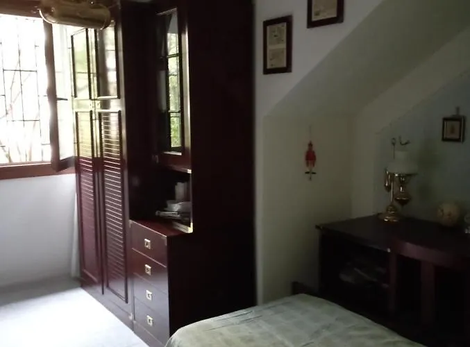 Domus Garden 올비아